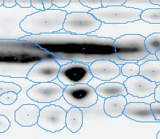 Spot Transfer - Image 1 Spot Transfer - Image 1